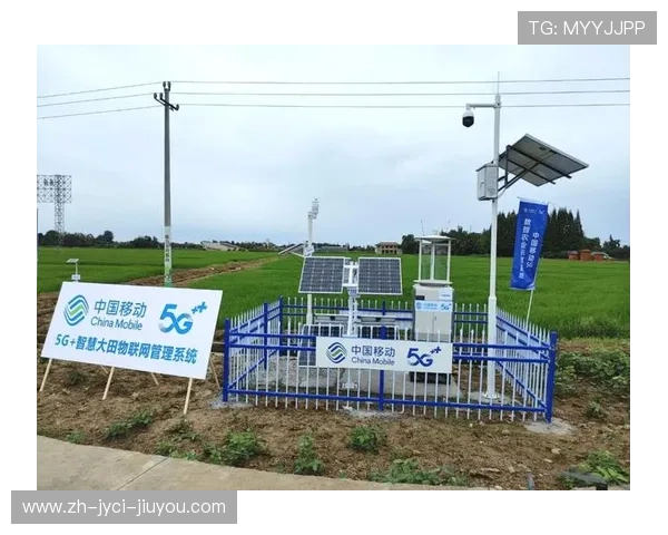 高端健身器械赛道上的中国智造突围战